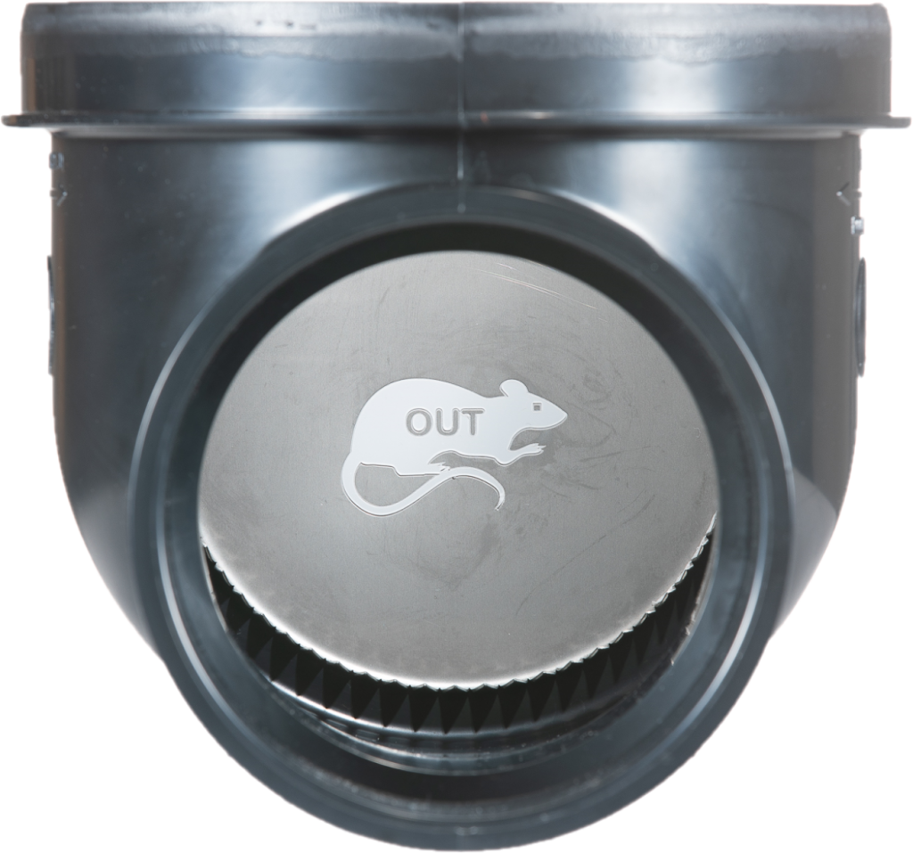 Protection AntiRats Rats Out Réseau Drain